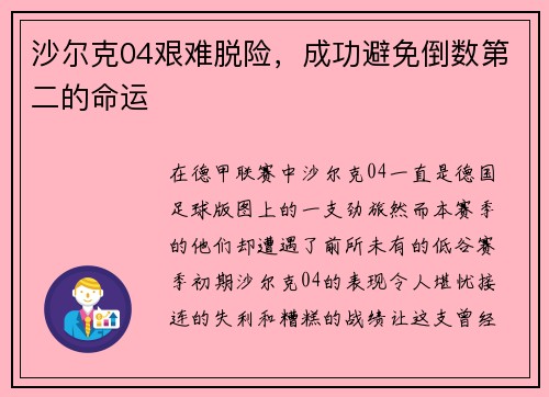 沙尔克04艰难脱险，成功避免倒数第二的命运